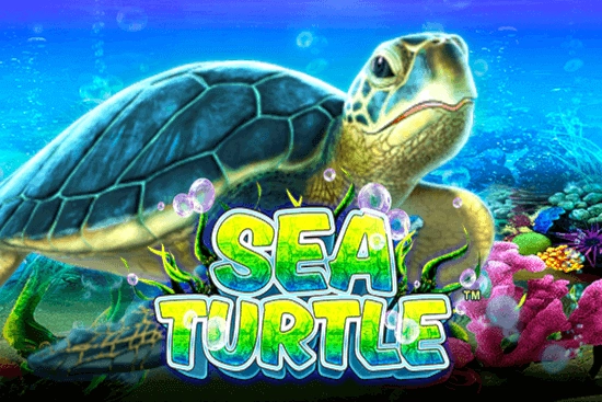 Арт слота Sea Turtle